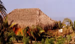Playa: Bar de Playa